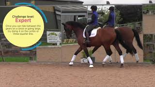 How To Improve Your Gears With Sophie Wells