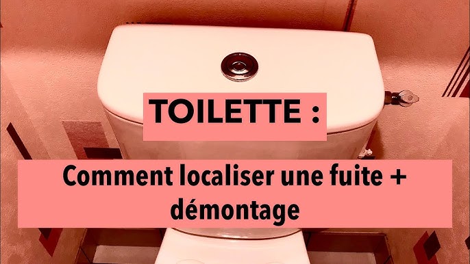 Comment changer le joint d'arrivée d'eau des toilettes - Vidéo Dailymotion