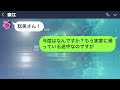 【LINE】嫁は赤の他人!結婚して5年目にしてついに姑の嫌味に限界です→家族じゃないなら実家へ帰りますと逃亡した結果w【そこにLINEはあるのかい】