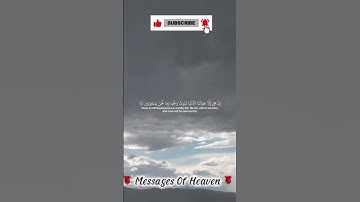 سورة المؤمنون | ياسر الدوسري | #قرآن #قران_كريم #yasseraldossary #ياسر_الدوسري #اكسبلور ❤️❤️
