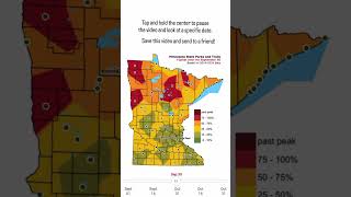 Wondering when’s the best time to see fall colors in Minnesota? Tap in the middle to pause the video