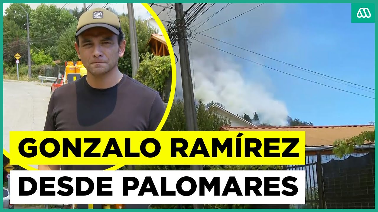 Gonzalo Ramírez en Palomares: Familias se mantienen en sus casas pese al avance del fuego