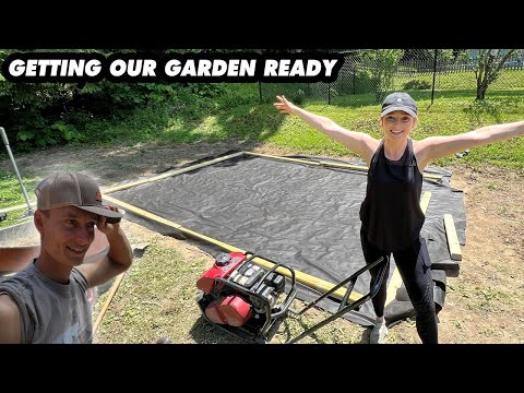 Building Our Dream