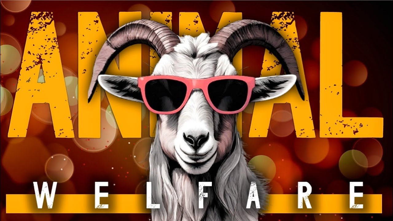 Animal Welfare and Luxury Fashion: Ethical Insights & Industry Evolution