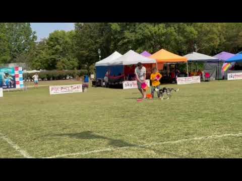 2025 Finn & Eden with Neverland Pairs Freestyle