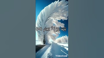 تلاوة هادئة تريح الاعصاب 💚 قران كريم💚 بصوت جميل 💚 تلاوة عطرة ✨ #المصحف #اكسبلور #اكسبلور