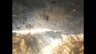 Worlds in transition. Photography by Jason Dan Bailey