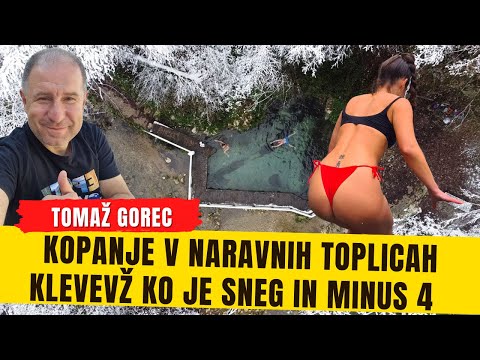 Video: Več načinov, da povem, če vaš pes je noseča