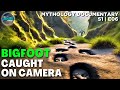 Bigfoot FINALLY Spotted Again | Full Bigfoot Documentary | Boogeymen | S1E06