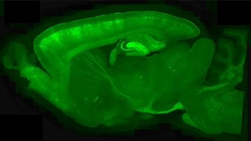 2016 Showcase | Next Generation Leader | Ben Scott