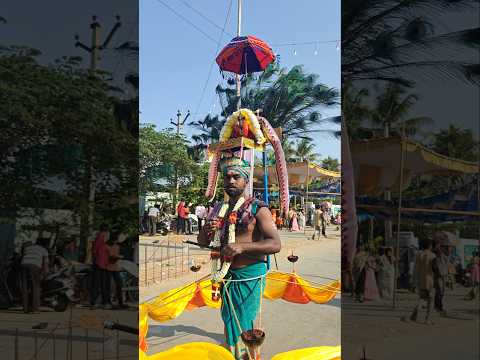 Murgan festival in Hindupur #shorts #hindupursasi #hindupur #festival