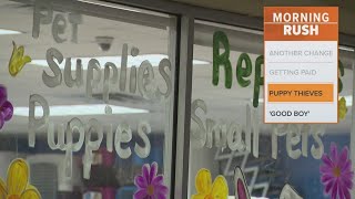 Houston pet store says three puppies were stolen
