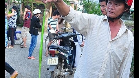 Rắn lục đuôi đỏ liên tiếp tấn công người dân