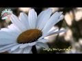 غيمة عطاء بصمة فتيات غيمة عطاء بصمة فتيات