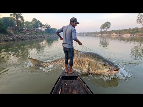 50 किलो लोहे की मदद से बनाया गया जाल को नदी में डालकर किया बड़ी मछलियों का शिकार #fishhunting2 