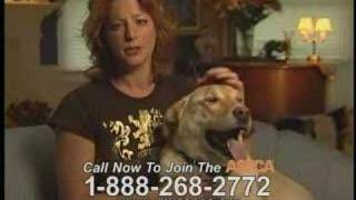 ASPCA announcement w/ Sarah Mclachlan