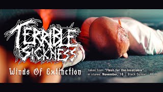 TERRIBLE SICKNESS - Winds Of Extinction (official video)