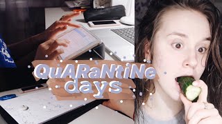 quarantine days || ЯМР-спектр, сдача лабы по химии и много лекций