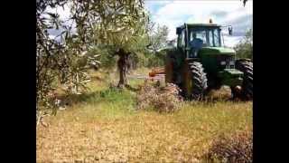 Acordonador de restos de poda GIROLIVO - R en plantación tradicional a 8 m. - Sermagasa s.l.