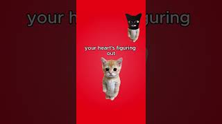 Puberty explained by kitty