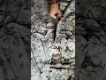 #new trendy gale or gher ka design #fashion #sewing #viral shorts #youtube shorts