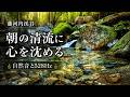 【藤河内渓谷】朝の清流に心を沈める|自然音と528Hz 5分