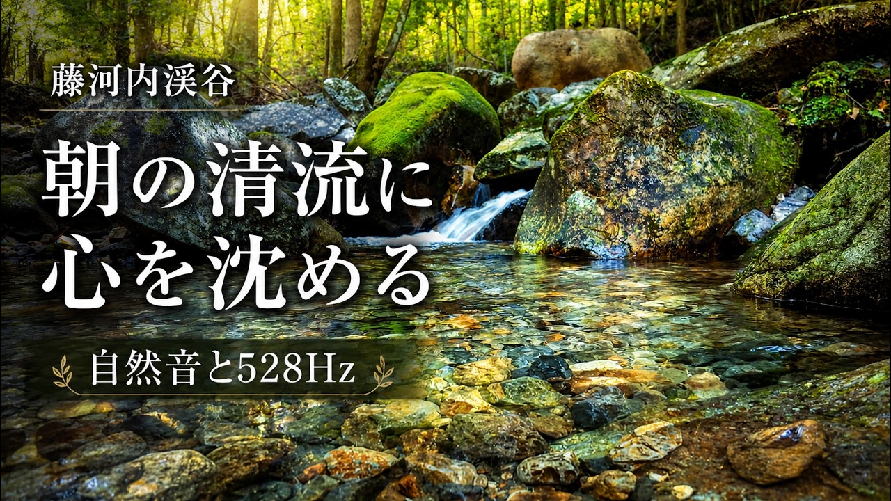 【藤河内渓谷】朝の清流に心を沈める|自然音と528Hz 5分