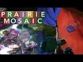 Prairie Mosaic 1102