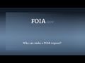 Who can make a FOIA request?