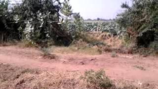 Survey 360 Deg Video survid Guj Sur Mul Dan 1023 P3 S2 30Oct12110325 V0