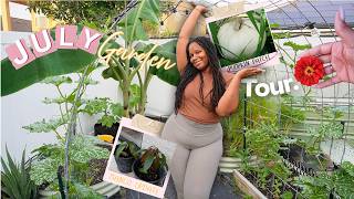 A SHOCKING FLORIDA SUMMER GARDEN TOUR | NEW FRUIT TREES | BUDGET FALL SEED  PLANTING | PUMPKIN PATCH