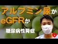 【腎不全】糖尿病性腎症の予後予測はアルブミン尿か、eGFRか?