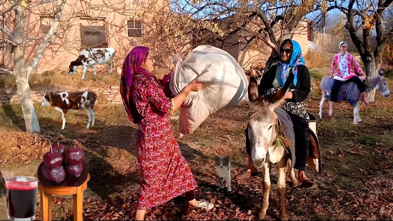 Autumn Mountain Life: Two-Person Donkey Ride & Making a Delicious Traditional Breakfast