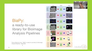BiaPy presentation at Euro-BioImaging Communication (2023/11/6)