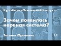 Зачем появилась нервная система? // Татьяна Юрочкина