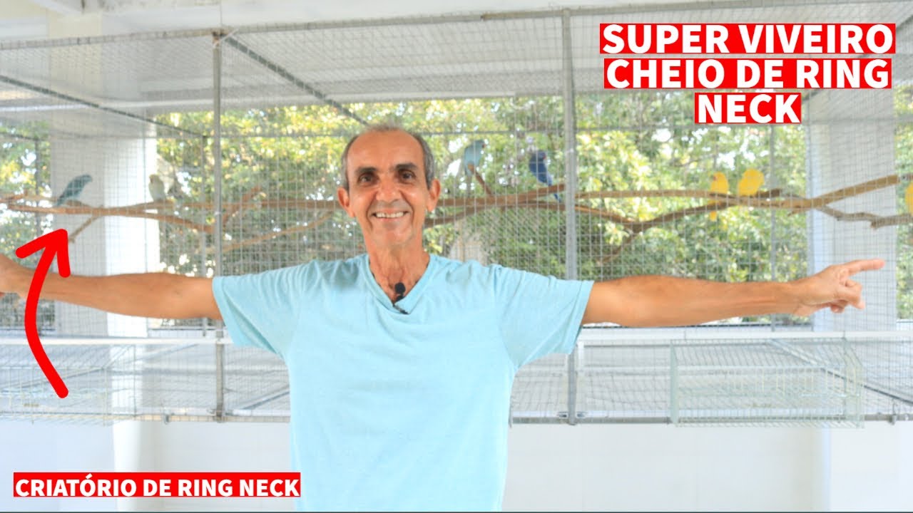 SOLTEI TODOS OS RING NECKS NO SUPER VIVEIRO 13X1 I NOVO CRIATÓRIO