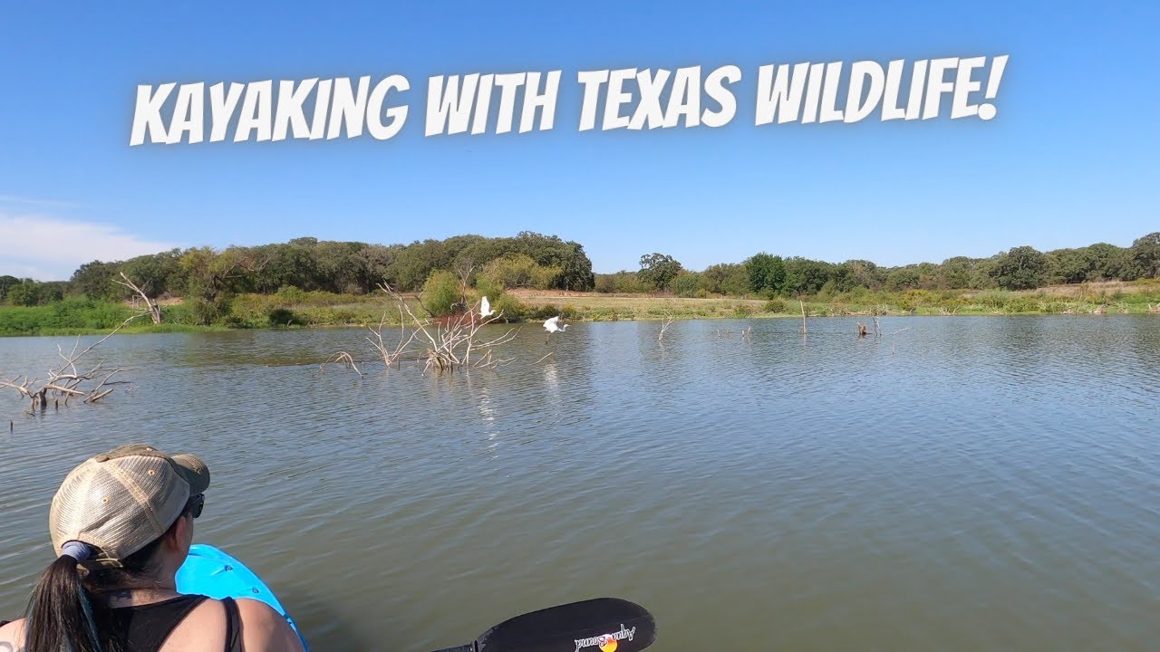 Kayaking Grapevine Lake at Meadowmere Park in 4K YouTube