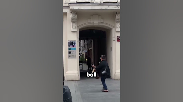 Dog Plays Fetch with Strangers from His Balcony ❤️ #shorts