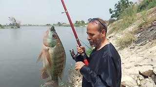 رحله صيد سمك بلطي في الفرستق مركز بسيون الغربيه