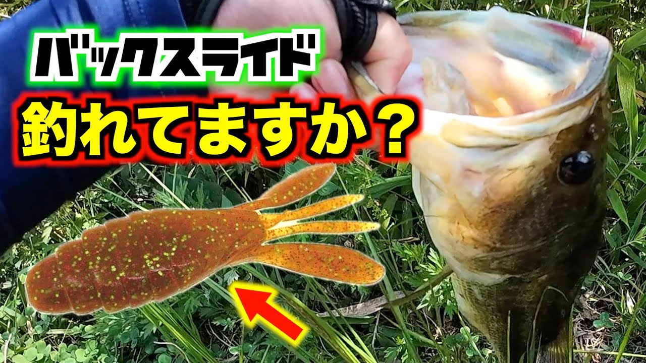 【バス釣り】良型を狙い撃てるバックスライドワーム界の至高。パワーグライダー