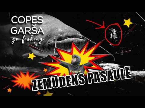 Video: Apbrīnojamākā zivs pasaulē