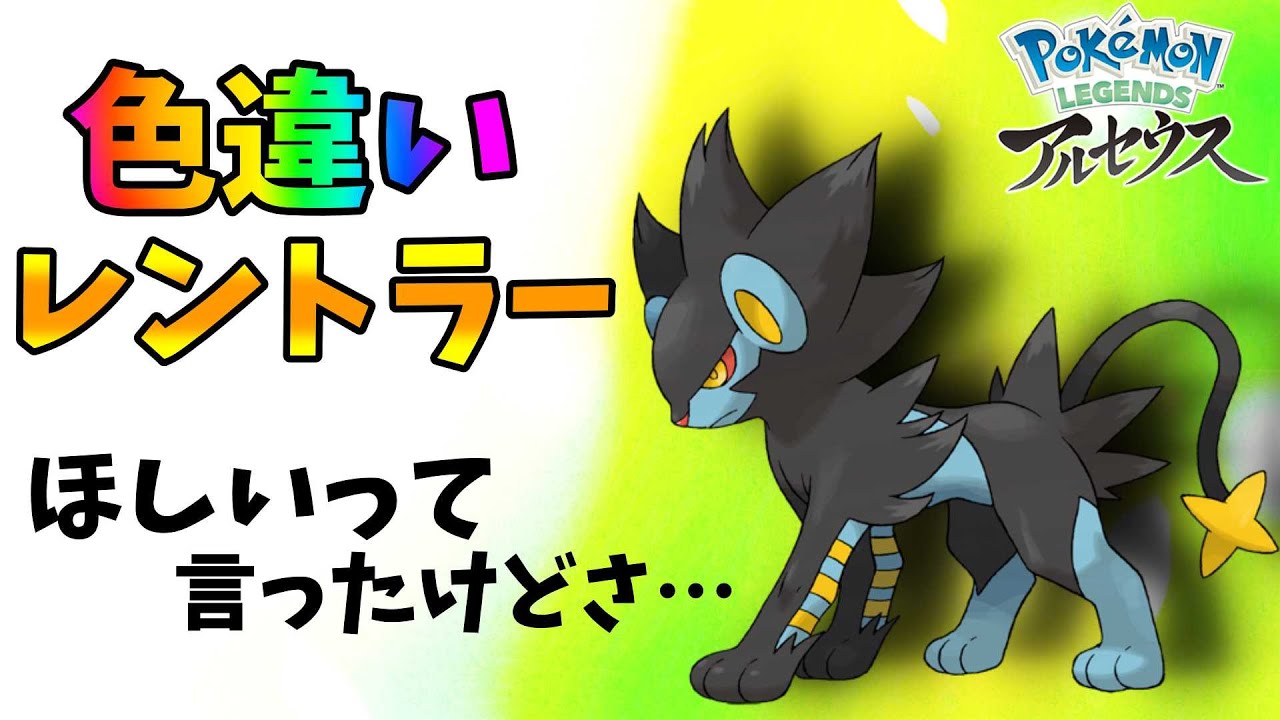 ポケモンレジェンズアルセウス】オヤブン個体の色違いレントラー厳選し
