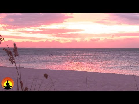 🔴 Relaxing Meditation Music 24/7, Relaxing Music, Sleep Music, Mediation Music, Study Music