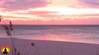 Relaxing Meditation Music 24 7 Relaxing Music Sleep Music Mediation Music Study Music Relaxing Meditation Music 24 7 Relaxing Music Sleep Music Mediation Music Study Music