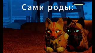 : `    ?  Warriors cat.    :""`-WC:UE