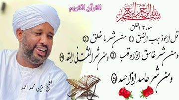 سورة الفلق الشيخ الزين محمد احمد #تلاوات #سورة #الله #quran #القرآن #اللهم #reels #viral #الشيخ