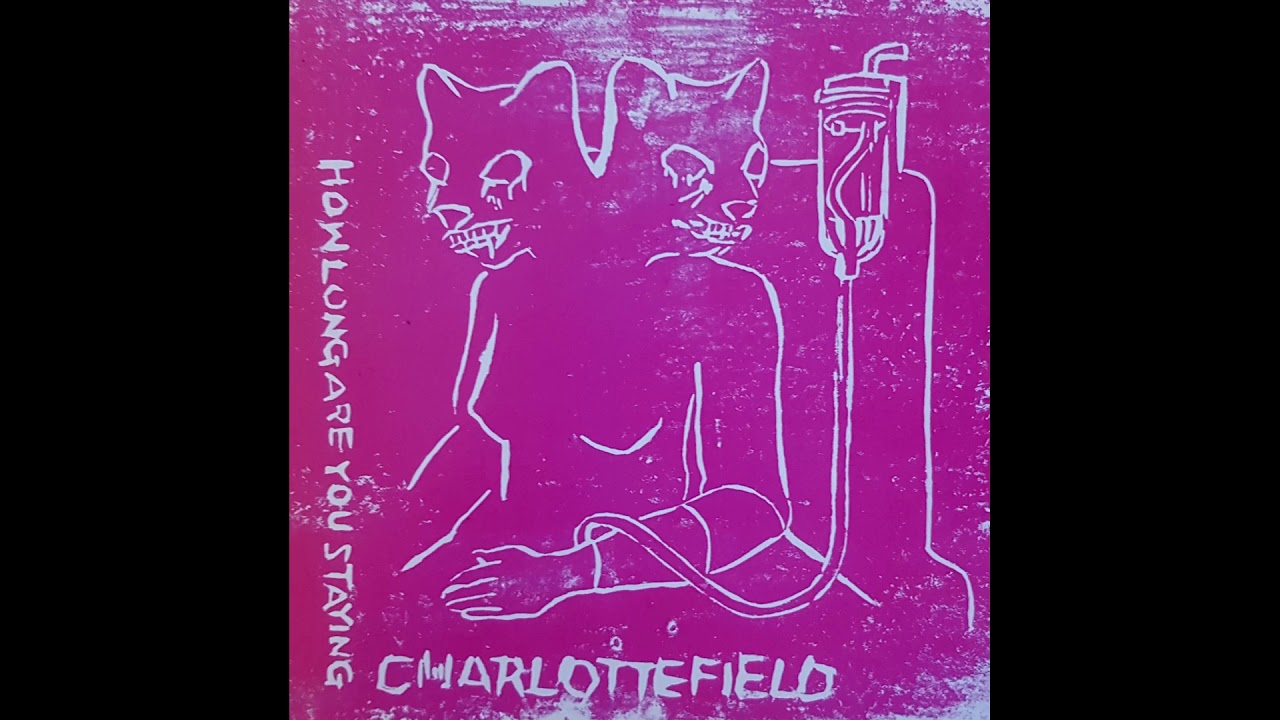 Charlottefield  - Live John Peel Session - Twominutemen 2 night - 23/7/2003