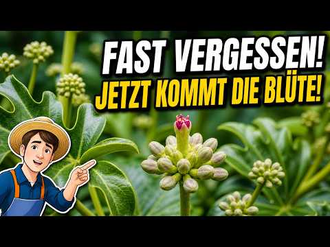 Gartenrundgang: Vergessene Pflanzen im Herbstgarten