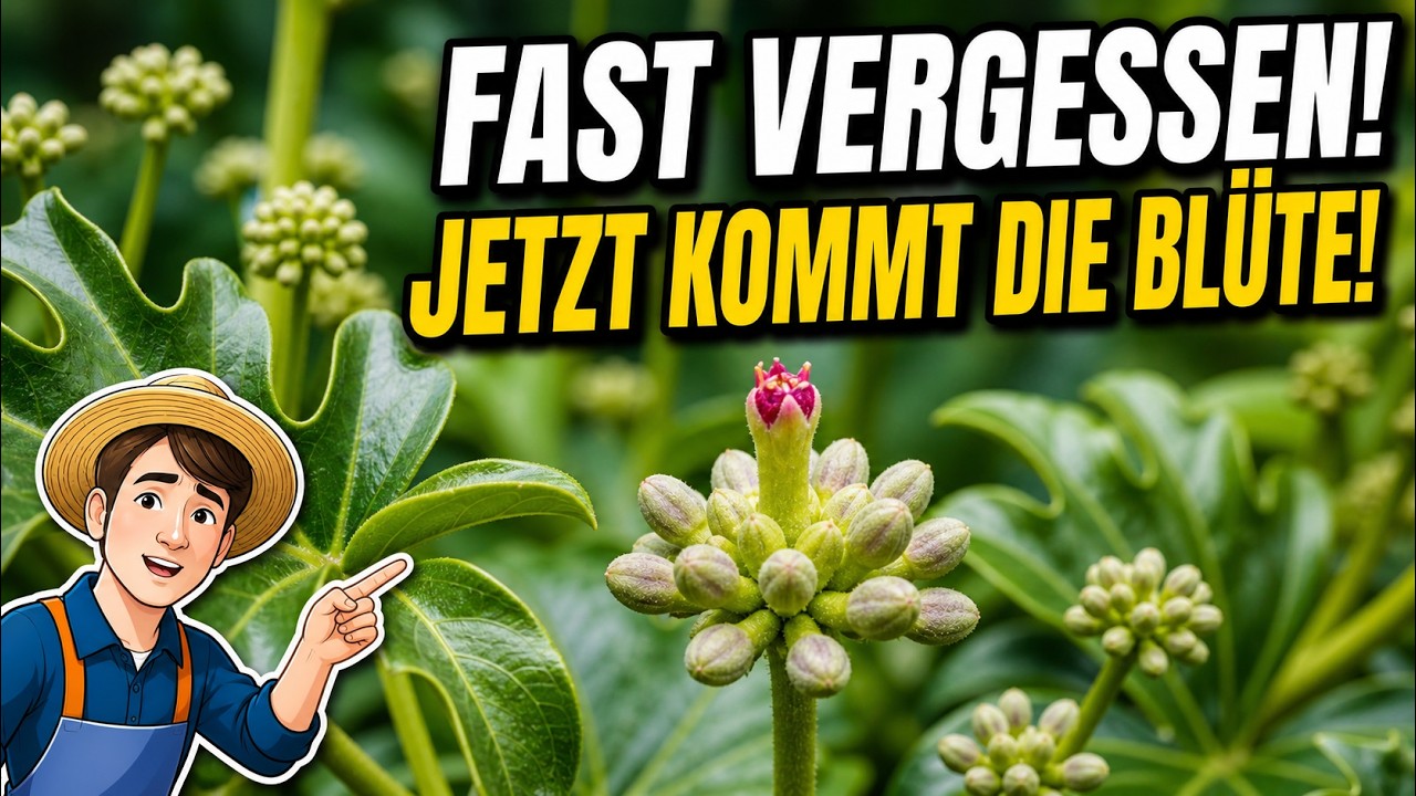 Gartenrundgang: Vergessene Pflanzen im Herbstgarten