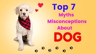 Unraveling Dog Myths: 7 Surprising Truths About Canine Behavior.